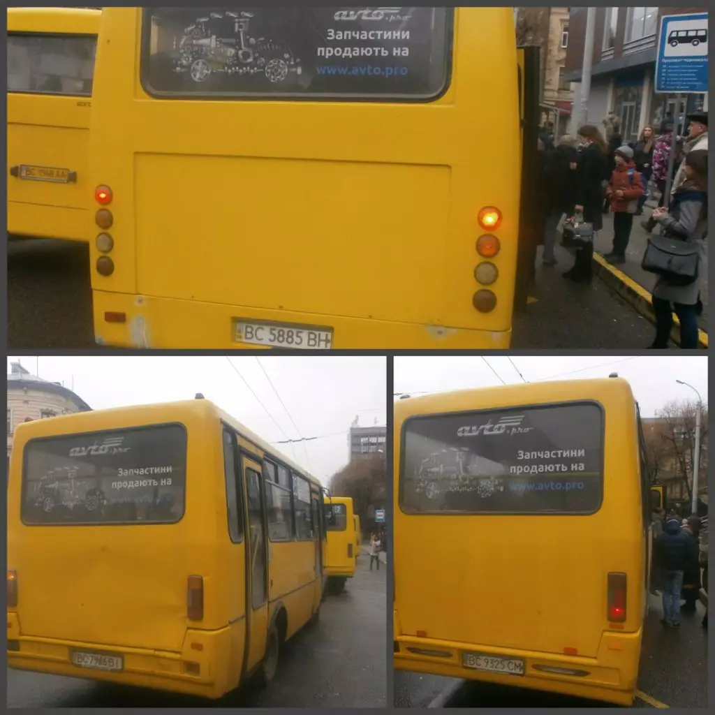 Реклама на заднем окне для Avto.pro Фото 1