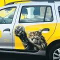 Брендирование авто